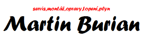 1.Pražská servisní logo