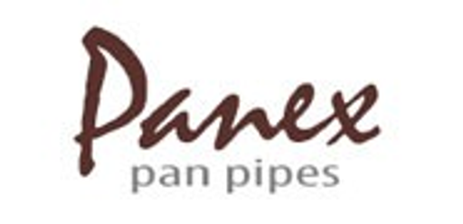 Ing. David Heger - Panex logo