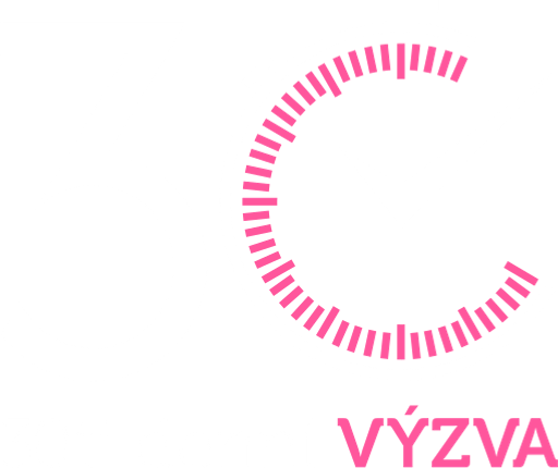 30tidennivyzva.cz logo