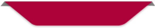 Penzion 338 logo