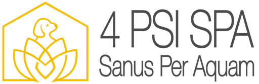 4PSI SPA logo
