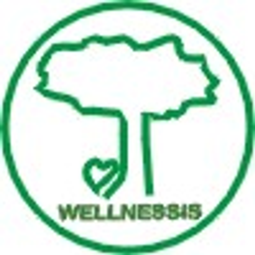 Romana Dvořáková Wellnesis logo