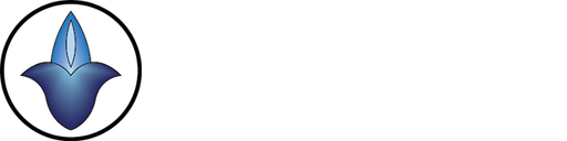 ACCENDO - Centrum pro vědu a výzkum, z.ú. logo