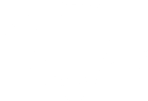 Acti Bois CZ, s.r.o. logo