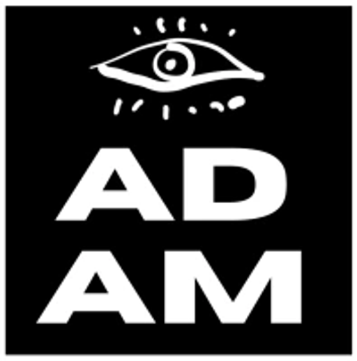Adamnovak.art logo