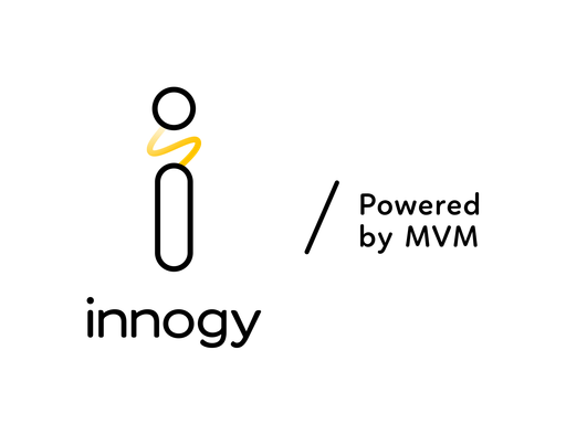 Sdružení pro zahraniční investice – AFI logo
