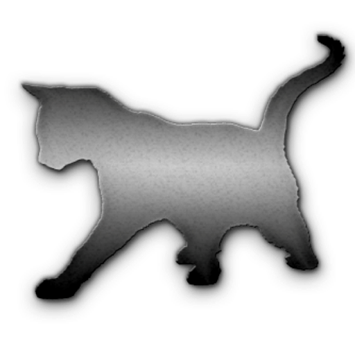 Air Force Cat*CZ logo
