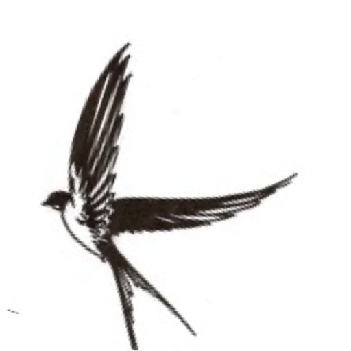 AK Matiaško logo