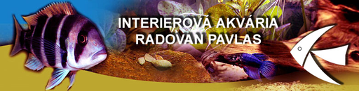 Interiérová akvária Radovan Pavlas logo