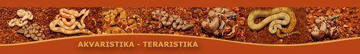 AKVARISTIKA-TERARISTIKA Michal Karabeleš logo