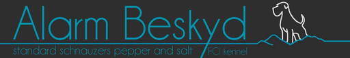 Alarm Beskyd logo