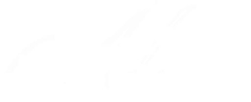 Alfa24 logo