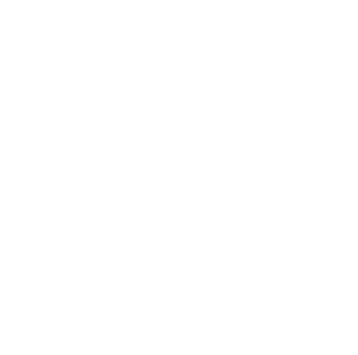 All dv studio logo
