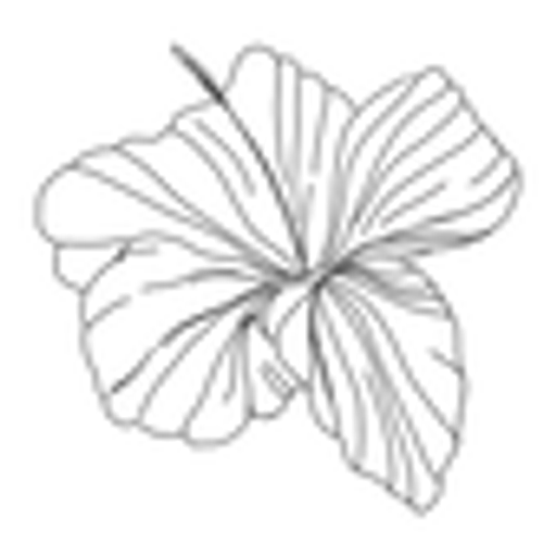 Aloha jóga logo