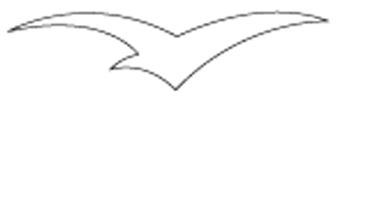 ALTRAD BAUMANN logo