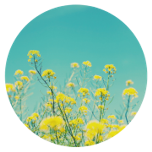 Andego logo