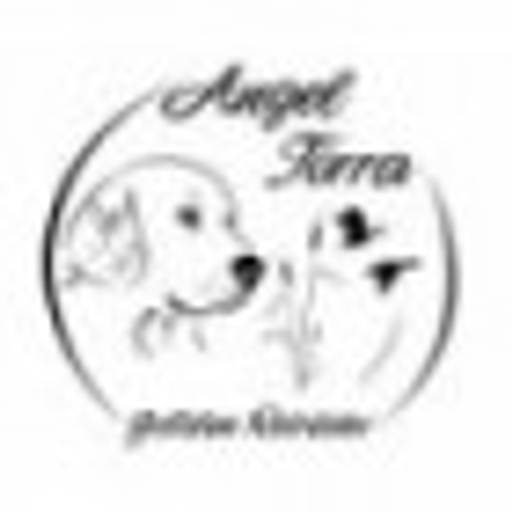 Angeltorra.com logo