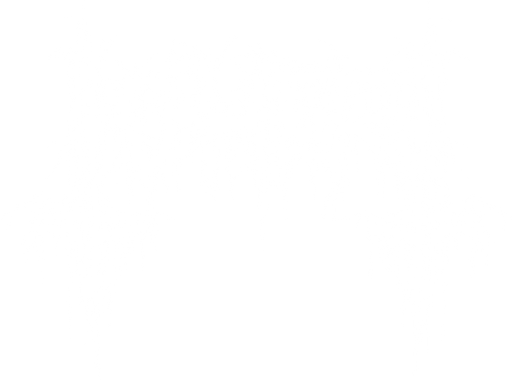 ANAKIN Merch logo