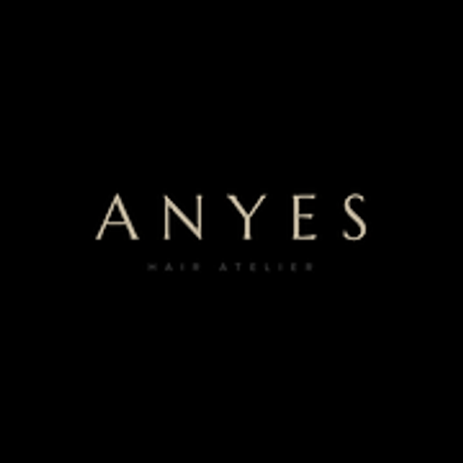 Anyes hair atelier logo