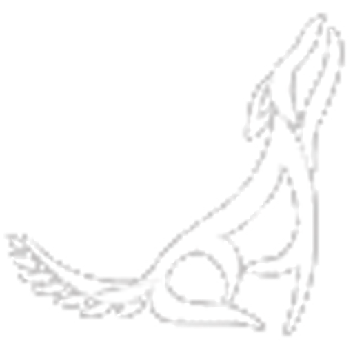 Krematorium zvířat Olomouc logo