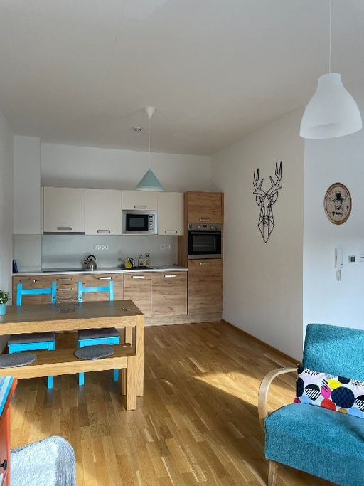 Apartman Jelen logo