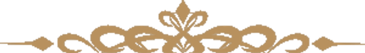 Apartmány Hradební logo