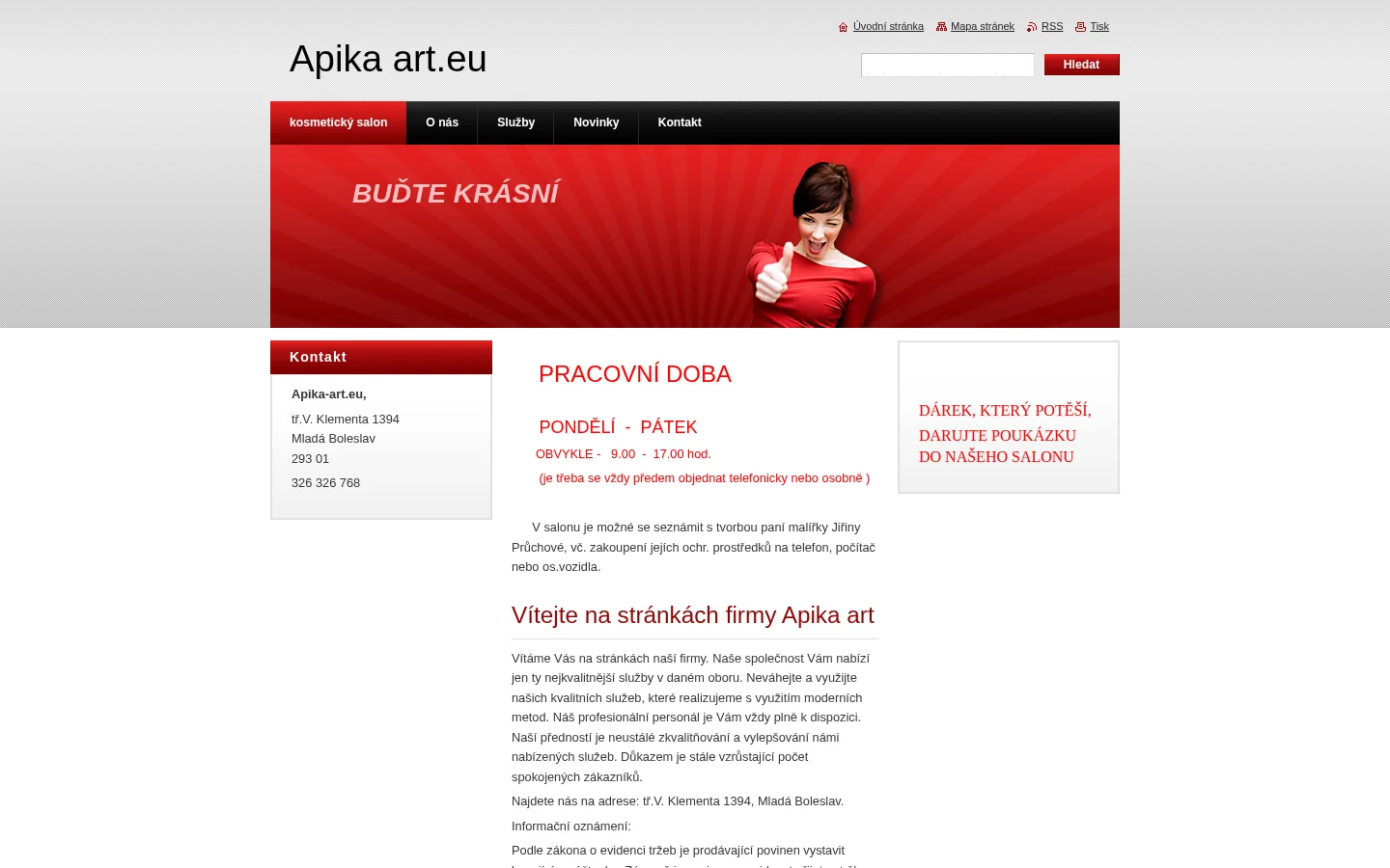 Apika art website