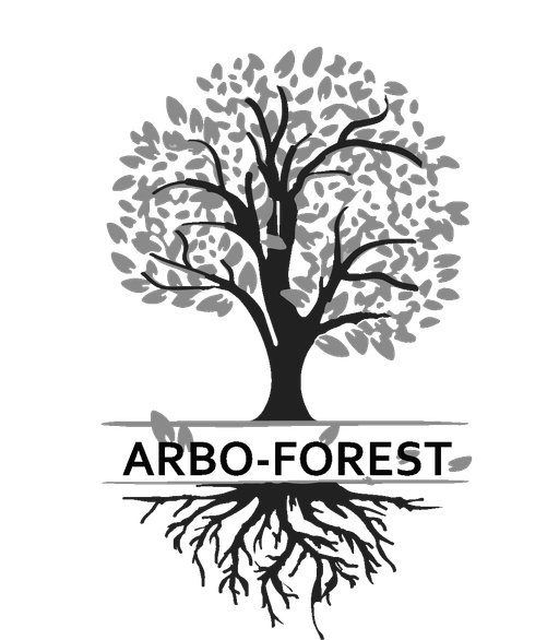 Arbo-forest logo