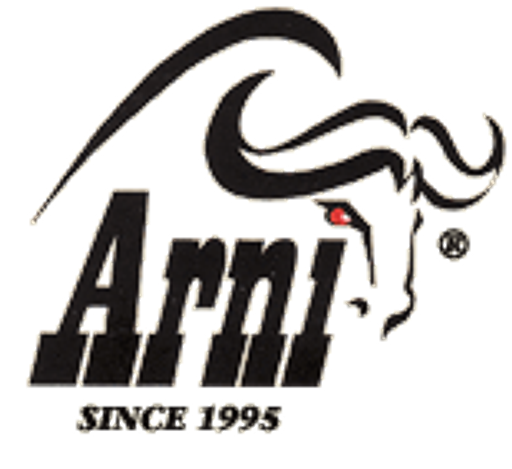 Arni logo