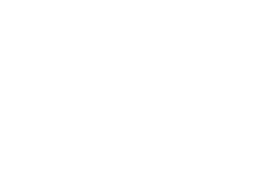 ARNIKA logo