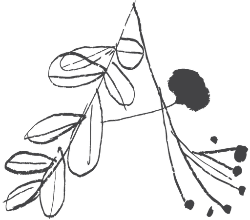 Anna Krutová - Aromaterapie logo