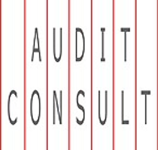 AUDIT CONSULT logo