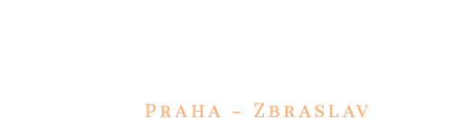 AUKCE OBRAZŮ U NÁRODNÍ GALERIE s.r.o. logo