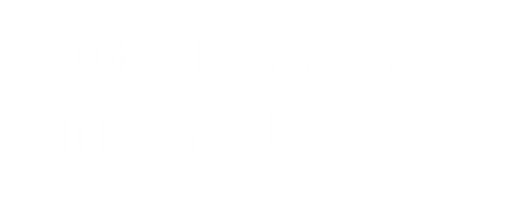 Autoalarmyhk.cz logo