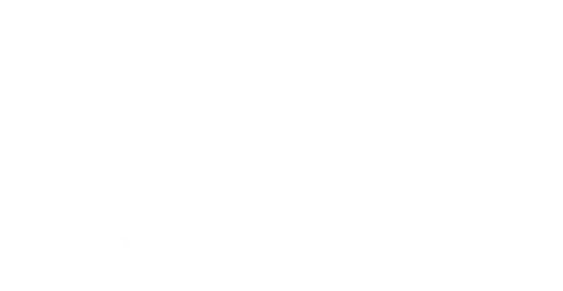 Auto Anex s.r.o. logo