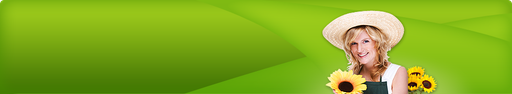 Autodíly Jičín logo