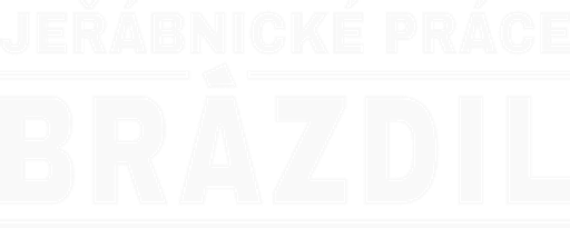Antonín Brázdil logo