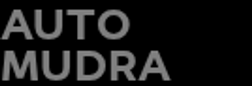 AUTO MUDRA logo