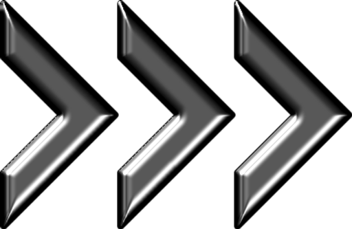 Rychlík - Autoservis a Pneuservis logo