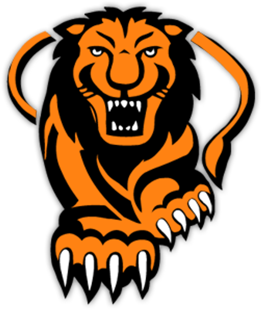 Autoskla - fólie Binek logo