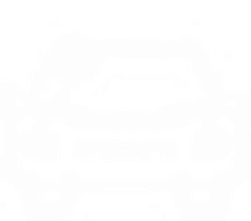 AUTOŠKOLA, Jaroslav Nečesal logo