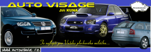 Auto Visage logo