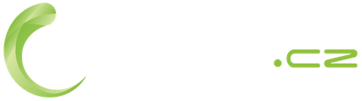 Avanti.cz logo