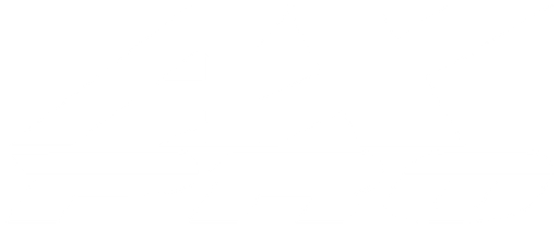 AX Pro logo