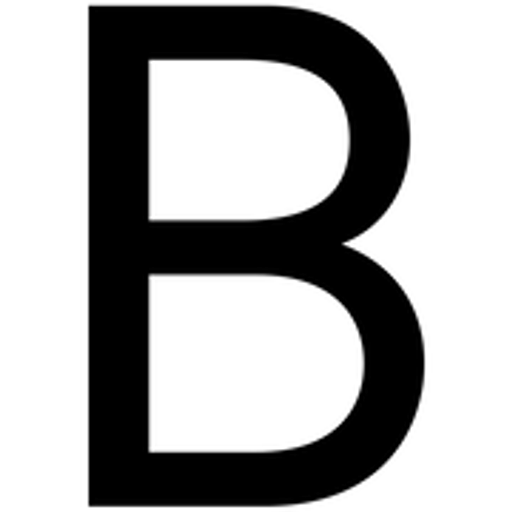 BAG 2.0 logo