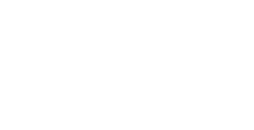 Bambooz logo