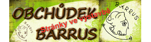 BARRUS Martina Dosedělová logo