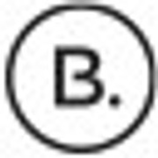 BASIS Prague, s.r.o. logo