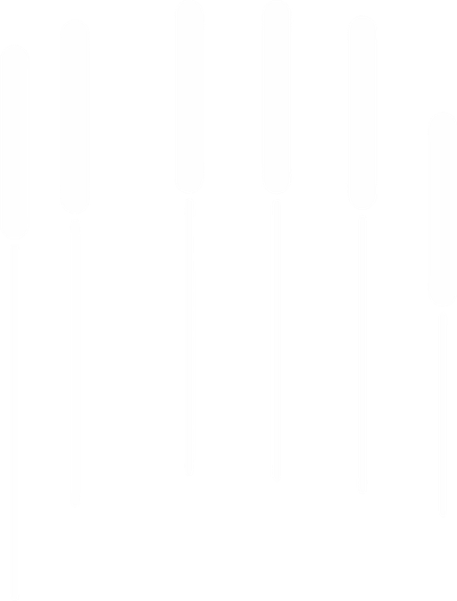 Lesní mateřská škola Bažinka logo