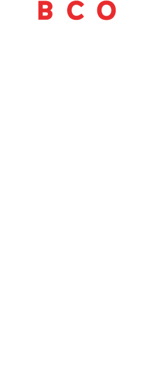 Brno Contemporary Orchestra logo